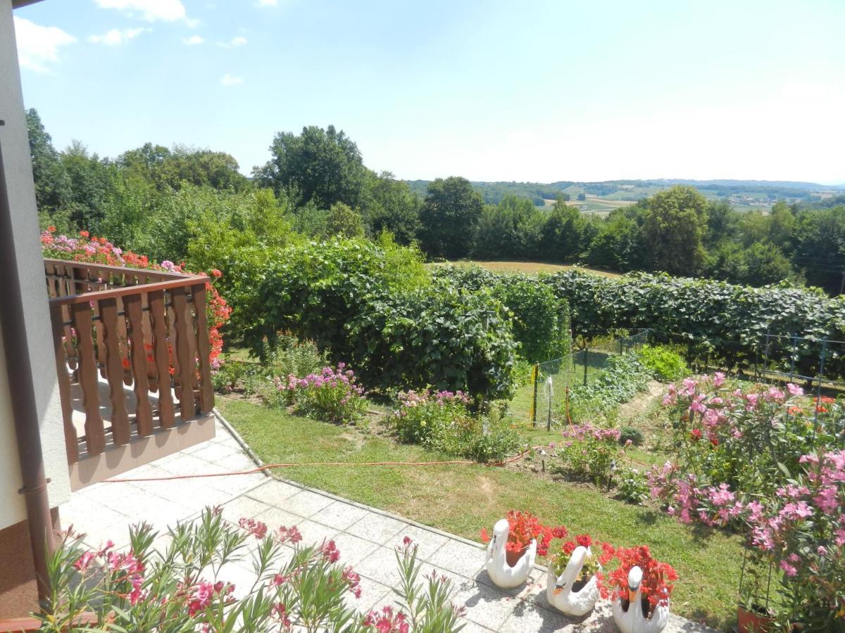 Urlaub Fuer Die Seele - Erholung Pur In Der Natur - Ferienhaus Mit Infrarotkabine & Relax-Raum Rucmanci المظهر الخارجي الصورة