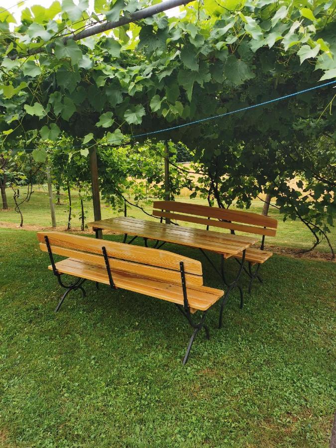 Urlaub Fuer Die Seele - Erholung Pur In Der Natur - Ferienhaus Mit Infrarotkabine & Relax-Raum Rucmanci المظهر الخارجي الصورة